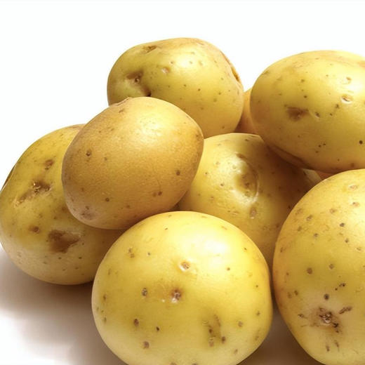土豆(1000g±50g) 商品图0