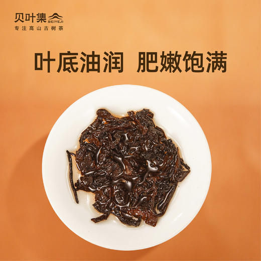 可以手撕的6年老熟普临沧甜韵枣香顺滑大树春茶细腻可闷泡200g/饼 商品图3