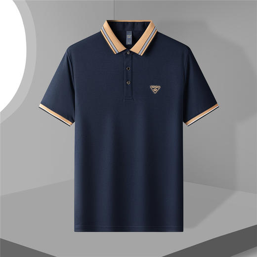 14LP3306【含桑蚕丝】罗蒙夏季男士时尚t恤短袖polo衫亲肤polo衫男短袖 商品图2