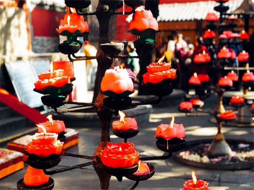 【潭柘寺1日】玉兰花开先有潭柘寺后有北京城の千年古刹-皇家寺院-戒台寺登山步道 商品图1