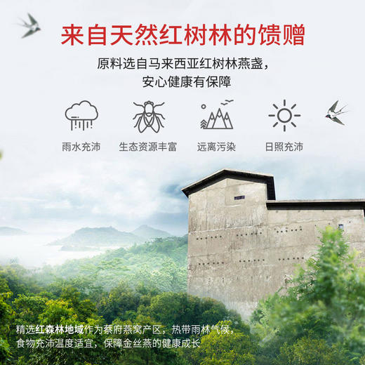 蔡府常温鲜炖燕窝45g*3瓶 商品图4