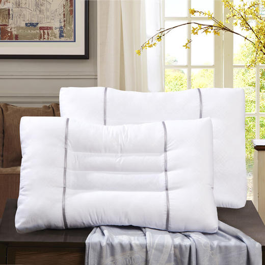 富安娜  决明子香蒲草本对枕 商品图4