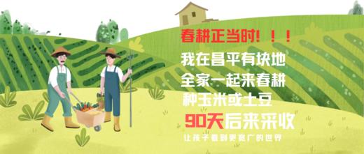 【公益农事】种玉米土豆,3个月后来采收,2-4小时志愿北京时长|5~15岁 商品图1