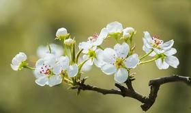 别再问医生哪些是“发物”了！！这里点进来！