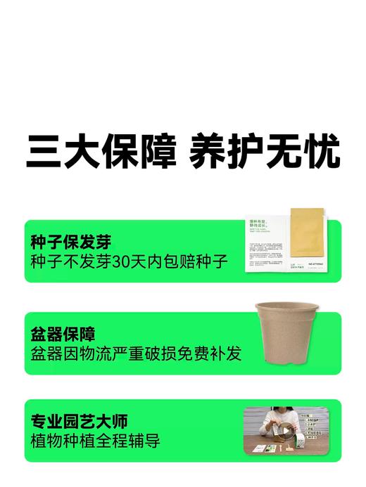 作物生长盆栽产品系列 商品图9