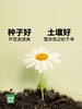 作物生长盆栽产品系列 商品缩略图11
