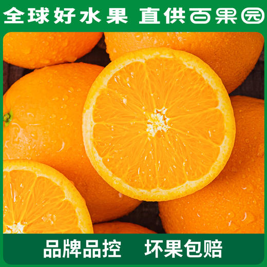 PAGODA百果园 A级-秭归脐橙（伦晚）小 4.5斤彩箱装 商品图4