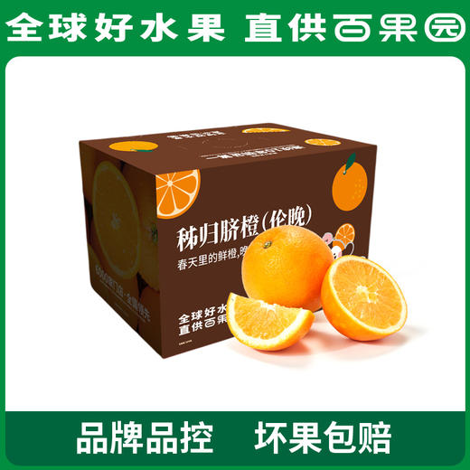PAGODA百果园 A级-秭归脐橙（伦晚）小 4.5斤彩箱装 商品图5