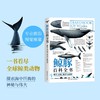 《鲸豚百科全书》世界上的鲸、海豚与鼠海豚丨官方正版 商品缩略图0