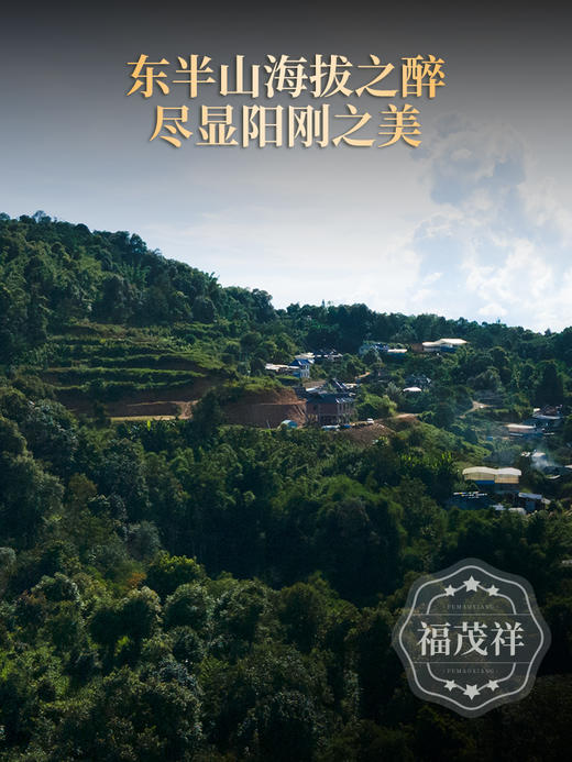 【正气塘】精微山头的天花板 勐库东半山的小冰岛 2020年春茶临沧茶区普洱茶生茶茶饼200g*5饼 一提五饼 商品图1
