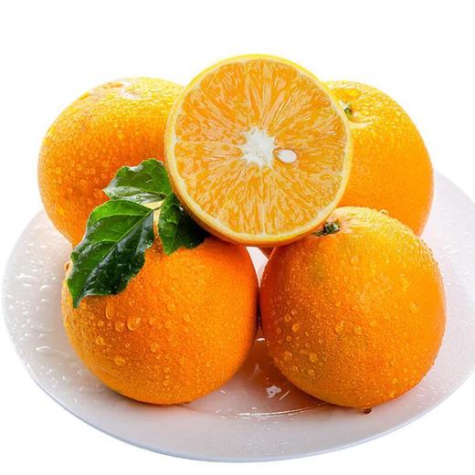 阳光橙5kg 商品图2