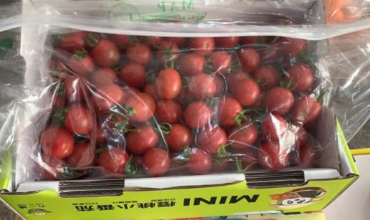 【周五自提】千禧小番茄（含箱2.8斤装） 商品图0