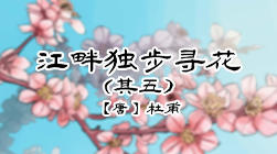 59、江畔独步寻花·其五