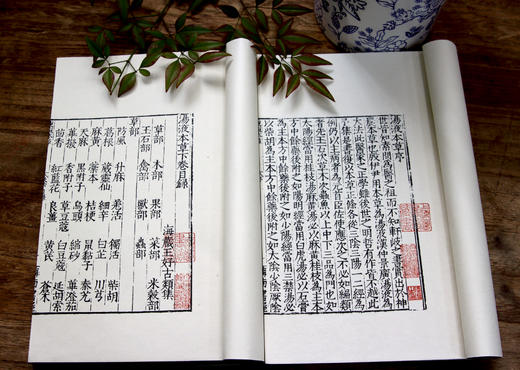 补土派”之宝典 宋金元之医宗——大型中医丛刊《东垣十书》 商品图9