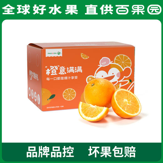 PAGODA百果园 A级-秭归脐橙（伦晚）小 9斤彩箱装 商品图5