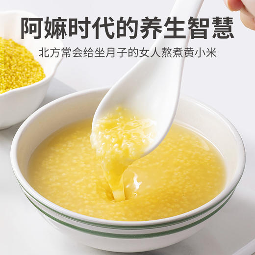 有机黄小米500g/米砖 商品图4