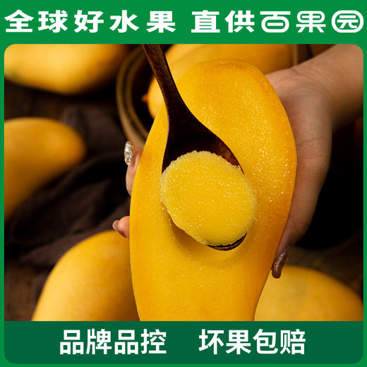 PAGODA百果园 金煌芒（大）8斤彩箱装 商品图5