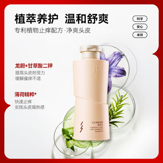 【微信专享价】新品红之去屑净澈洗发水300ml 商品图3