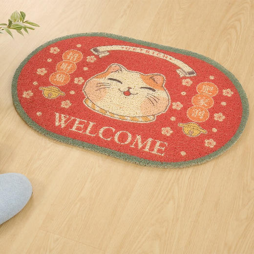 室外门垫 肥家润 商品图1