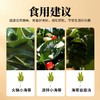 自营-有机幼嫩小海带60g/罐 商品缩略图7