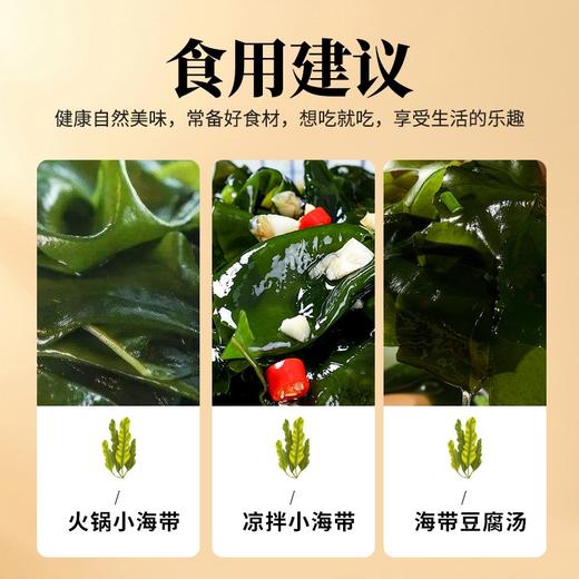自营-有机幼嫩小海带60g/罐 商品图7