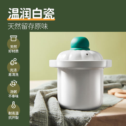 浦利顿新款南瓜电炖盅0.5L电炖锅DGD5-5A-2 商品图5