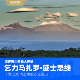 乞力马扎罗【威士忌线】登山 8日