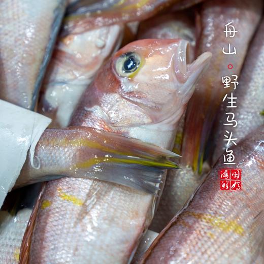 【闹妈海鲜】[热气]舟山深海船红马头鱼，葱油清蒸超美味 商品图2