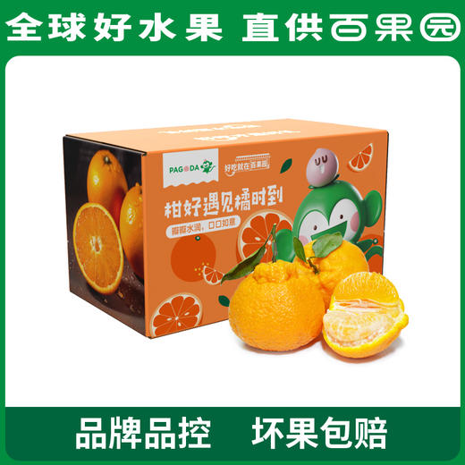 PAGODA百果园 不知火·丑橘（小）3斤彩箱装（果径65mm+） 商品图4