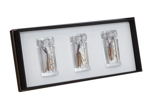 【P】华润堂 冬虫夏草（1克x3瓶） 商品图6