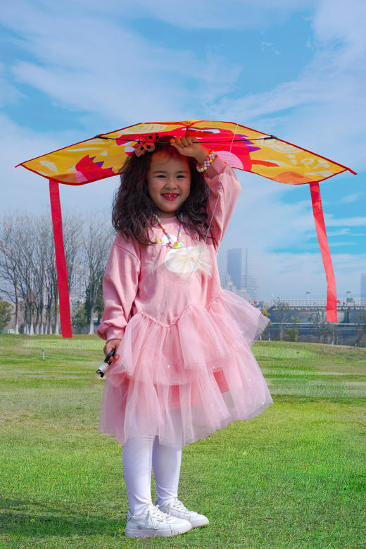 【TOI儿童卡通风筝】春日必备 出游最佳选择 春天的习习微风！灿烂阳光！一起去放风筝  三个插画主题：恐龙、航空、动物  萌趣可爱，放飞童心，放飞梦想  优选210T格子布，好看又耐造 商品图8