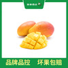 PAGODA百果园 A级-树上熟贵妃芒（中）2kg礼盒装 商品缩略图3