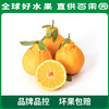PAGODA百果园 不知火·丑橘（中大）9斤彩箱装（果径80mm+） 商品缩略图2