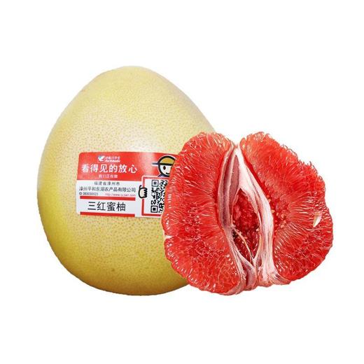 放心三红蜜柚 约1.2kg/个 安全安心可追溯 伊藤自有品牌 商品图3