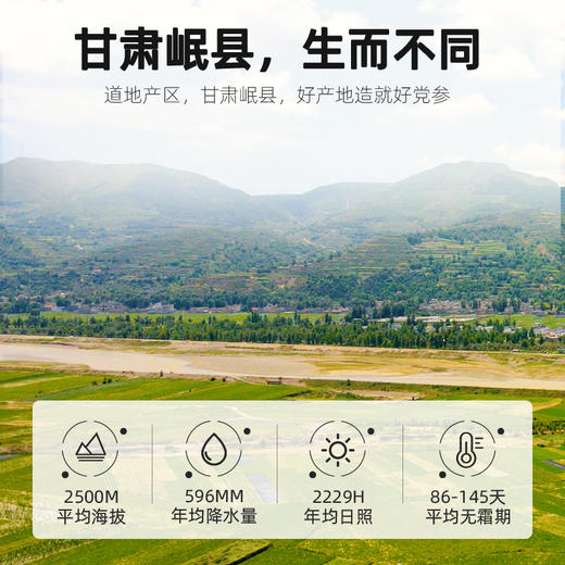 【杞里香甘肃岷县香党参段煲汤100g】可搭配黄芪当归
岷县之宝 精选好物 商品图2