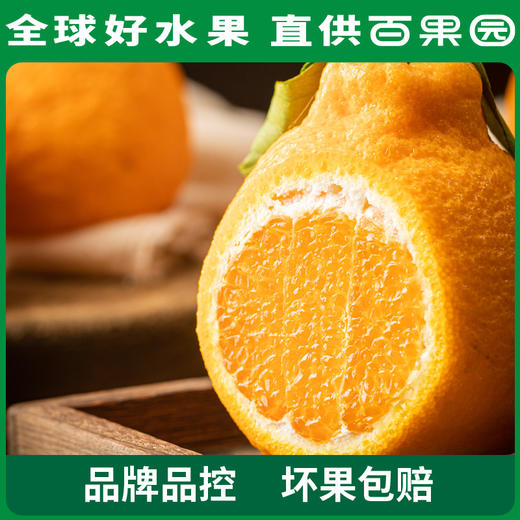 PAGODA百果园 不知火·丑橘（中大）9斤彩箱装（果径80mm+） 商品图1