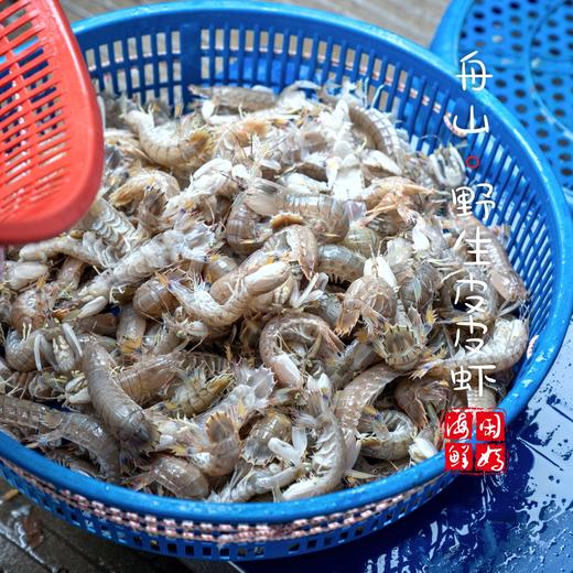 闹妈海鲜】舟山鲜活大皮皮虾虾姑濑尿虾富贵虾保鲜不保活公母混搭 商品图2