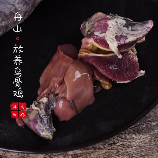 闹妈】2025年海岛原生态山地放养10个月黑羽乌骨鸡上市了 商品图4