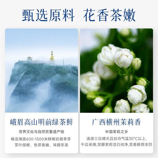 竹叶青-碧潭飘雪论道108g 茶叶礼盒 茉莉花茶 商品图2