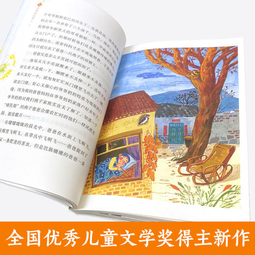 在梦想的田野上   三年级共读书正版现货速发|名师推荐|小学生课外阅读3年级课外书 商品图2