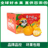 PAGODA百果园 不知火·丑橘（中大）9斤彩箱装（果径80mm+） 商品缩略图4