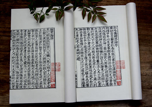 补土派”之宝典 宋金元之医宗——大型中医丛刊《东垣十书》 商品图4