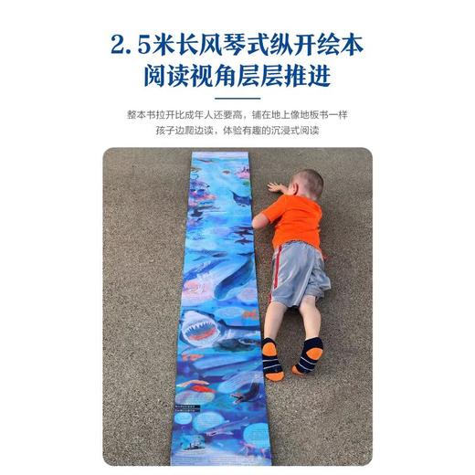 眼前的海洋 商品图1