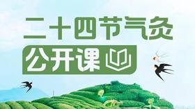 二十四节气灸