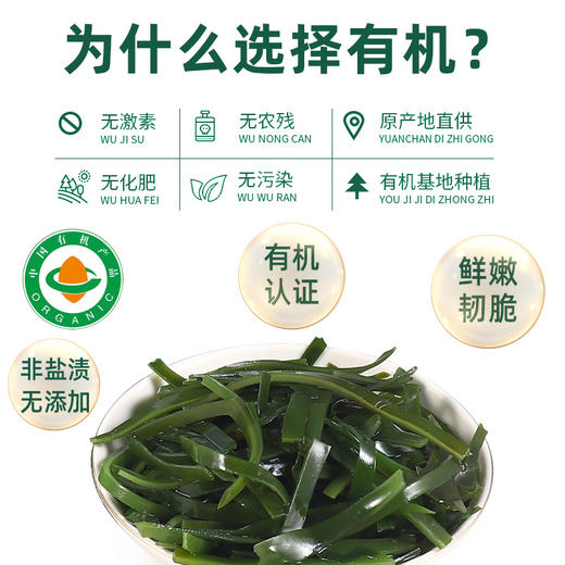 有机海带丝60g（罐装） 商品图3