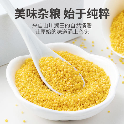 方家铺子 有机黄小米500g/米砖 商品图6