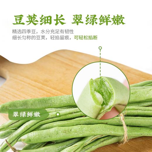 新鲜蔬菜  四季豆500g 商品图1