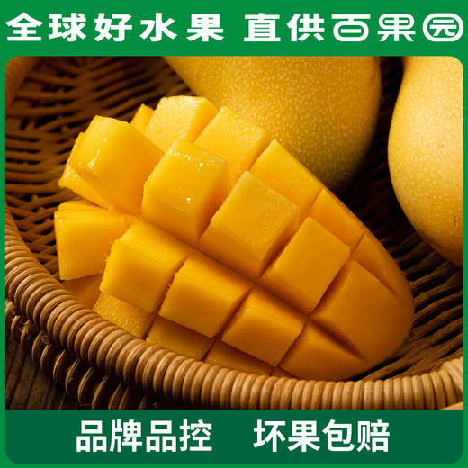 PAGODA百果园 金煌芒（大）8斤彩箱装 商品图4