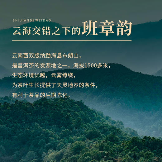 时间的味道班章20年普洱生茶老班章乔木古树春茶紧压茶撬散单泡装10克*20包/罐 商品图3