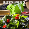 有机裙带菜90g/罐 商品缩略图1